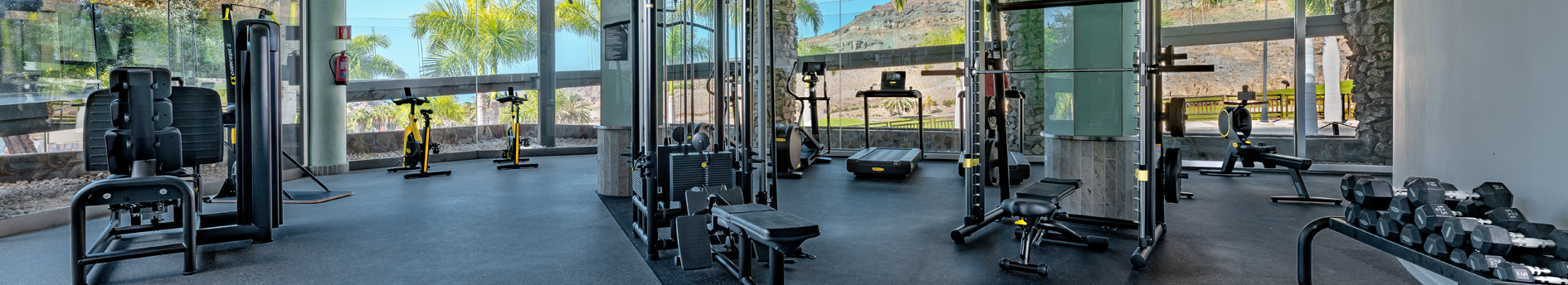 GymAEC1